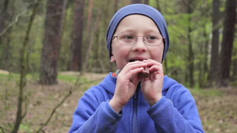 A boy eats chocolate in the forest Stock Footage 255817512