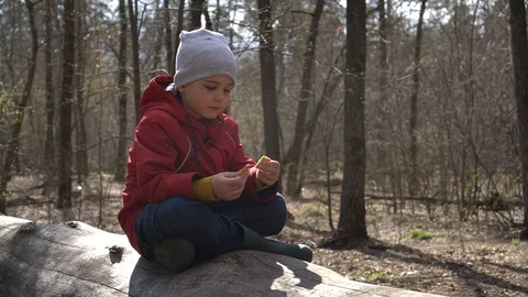 A boy eats cookies in the forest, a little boy sat in a tree Stock Footage 129091138
