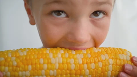 Boy eats corn. close-up. Video stock 278818140