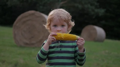 Boy eats corn off of the cob and smiling 스톡 동영상 70929663