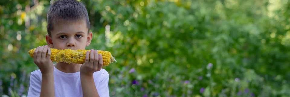 A boy eats corn. Selective focus Stock Photos