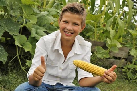 Boy eats corn in summer in nature and in autumn Stock Photos
