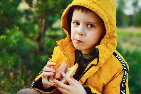 The boy eats a fried sausage at a picnic. Foto stock
