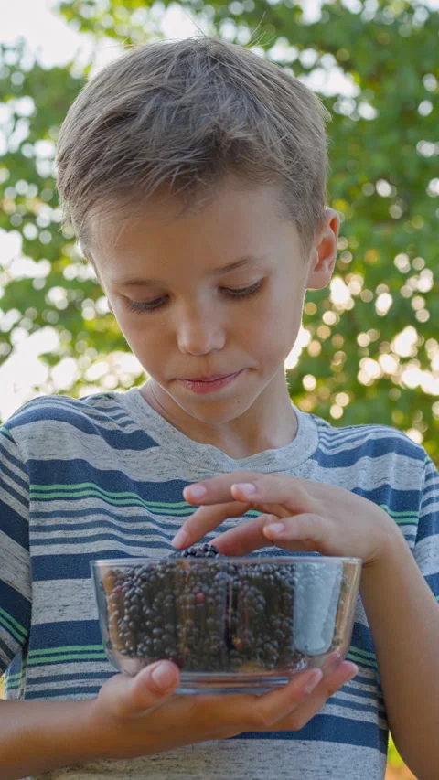 Boy eats fruit, fresh blackberries from a glass bowl outdoors. Stock Footage 314665588