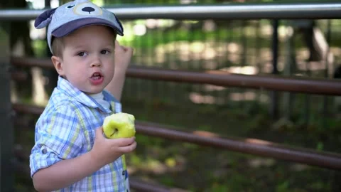 Boy eats a green apple Stock Footage 133439084