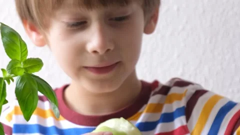 The boy eats a green apple. healthy food concept Stock Footage 223108562