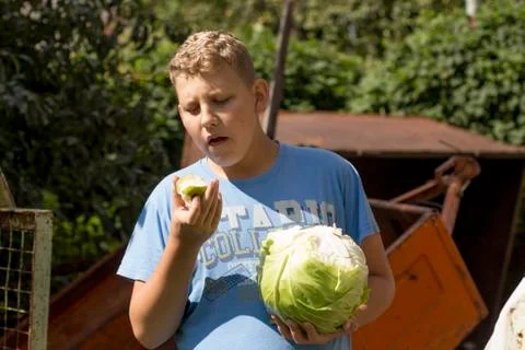 The boy eats a green pear with cabbage in his hand Stock Photos