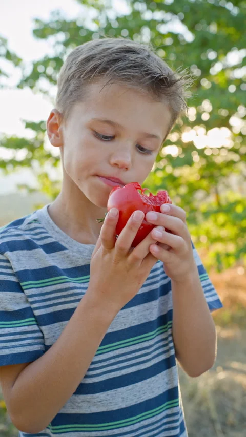 A boy eats a juicy tomato Stock Footage 316829158