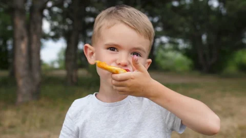 Boy eats pizza. Boy outdoors with a pizza. Beautiful baby, in front of the trees Stock Footage 201085563