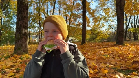 A boy eats a sandwich in an autumn park. Stock Footage 288388599
