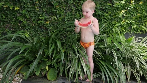 Boy eats watermelon in the yard in summer. little kid eating fruits on vacation Stock-Footage 126312584