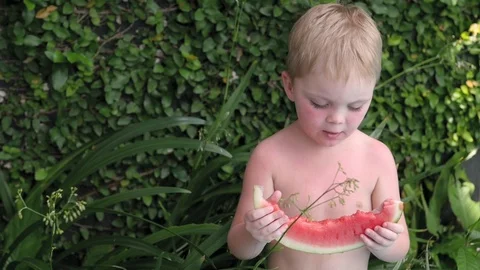 Boy eats watermelon in the yard in summer. little kid eating fruits on vacation Vidéo 127153206
