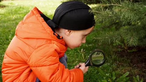 The boy is engaged in geocaching. Stock Photos