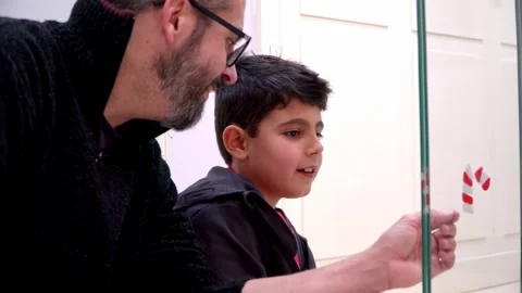 Boy enjoying Christmas decorating with his father at home Stock Footage 345253145