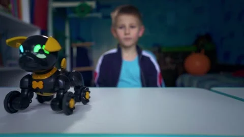Boy Enjoying Screen-Free Indoor Play With Interactive Robot Dog Toy Stock Footage 343780898