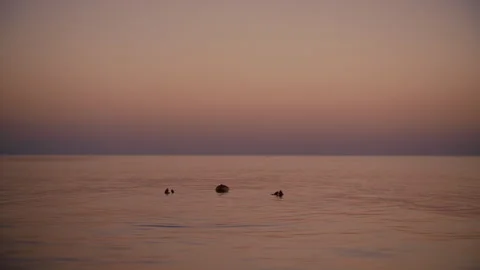 Boy enveloped by serene ocean sunset Stock-Footage 252734722