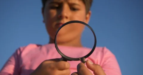 The boy examines a grasshopper through a magnifying glass Stock Footage 92007326