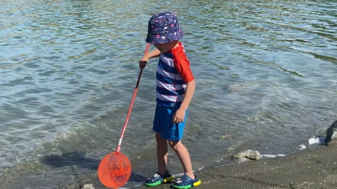 Boy Explores Waters with a Net on a Sunny Day Stock Footage 310654754
