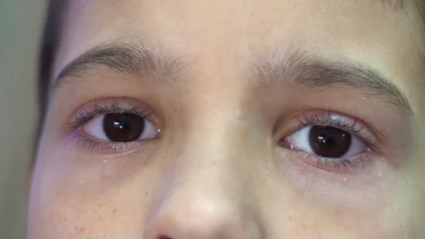 Boy eyes 4K Stock Footage 219404517