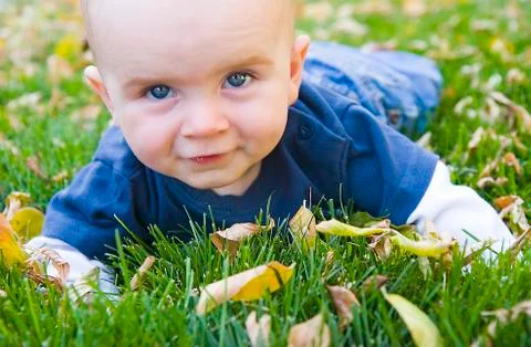 Boy in fall leaves Stock Photos