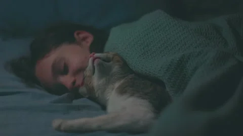 Boy falls asleep and hugs his cat who sleeps with him under the covers. children Stock Footage 239261616