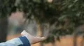 Boy feeding a bird, Beautiful Great Tit, Parus Major in Nature, Forest HD Footage