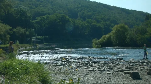 Boy feeding ducks on a river Video stock 40428320