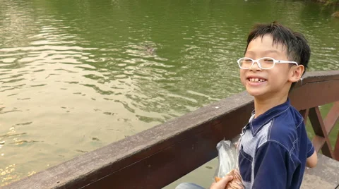 Boy feeding fish in the pond. Stock Footage 63973745