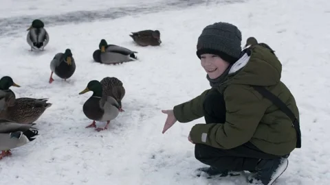 A boy feeds ducks by a lake in winter. All white. Stock Footage 223570220