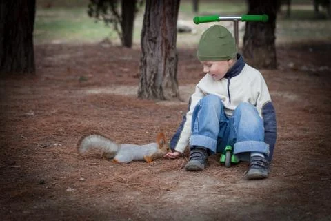 Boy feeds a squirrel from hands Stock Photos