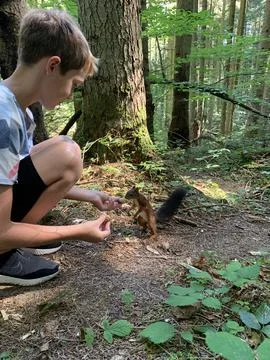 The boy feeds the squirrel nuts from his hand. Forest rodent prepares stocks Stock Photos