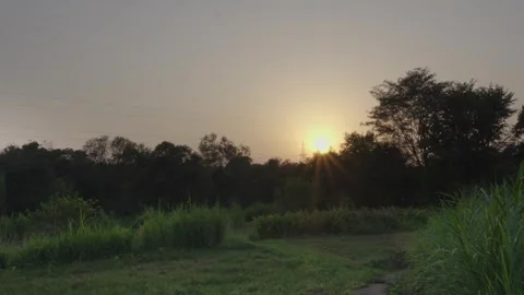 Boy in the field Video stock 325590815