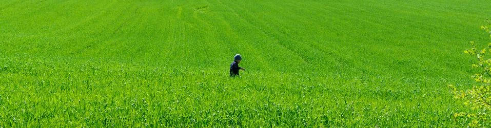 Boy in field Stock Photos