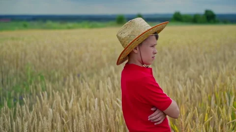 Boy in field of wheat Stock Footage 135602993