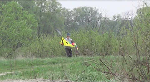 Boy flies a kite 스톡 동영상 39039105
