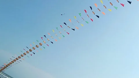 A boy flies a long kite Stock Footage 256734640