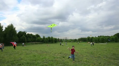 Boy fly kites in the park. Stock Footage 50573851