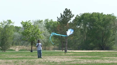 Boy flying kite. Video stock 27892663