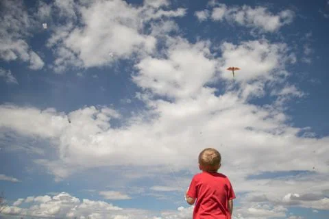 Boy Flying Kite Stock-Fotos