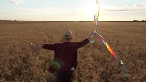 Boy flying kite wheat field, child playing colorful kite, golden wheat field Stock Footage 312727914