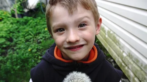 Boy Stock Footage 154428176