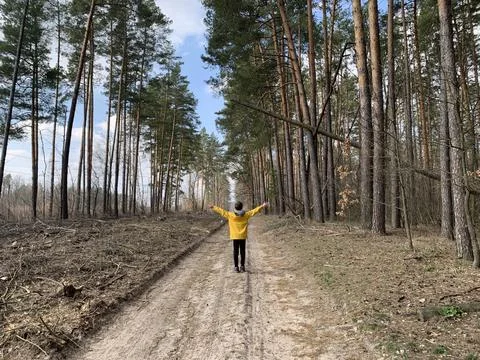 Boy in the forest on a background of pine trees. A teenager among tall trees. Stock Photos