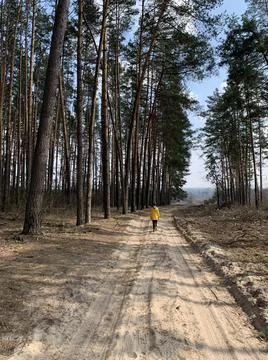 Boy in the forest on a background of pine trees. A teenager among tall trees. Stock Photos