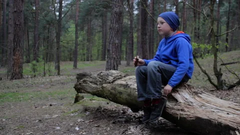 Boy in the forest in the evening eating Stock Footage 105880002