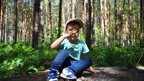 Boy in forest park Stockbeeldmateriaal 111472655