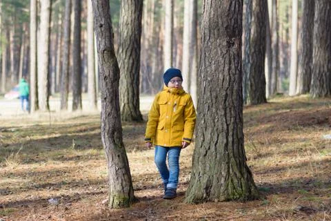 Boy in the forest Stock Photos