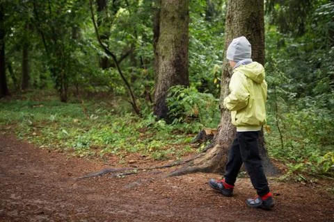 Boy in forest Stock Photos