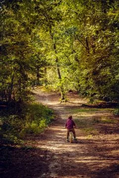 Boy in the forest Stock Photos