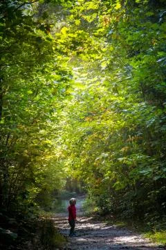 Boy in the forest Stock Photos