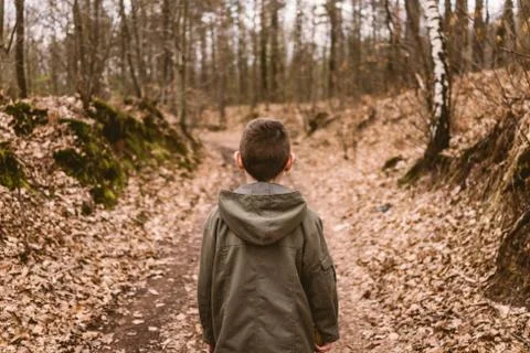 Boy in forest Stock Photos